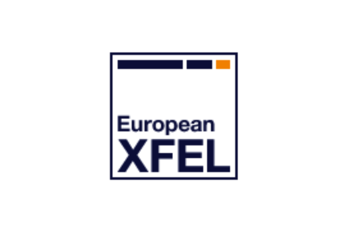 European XFEL